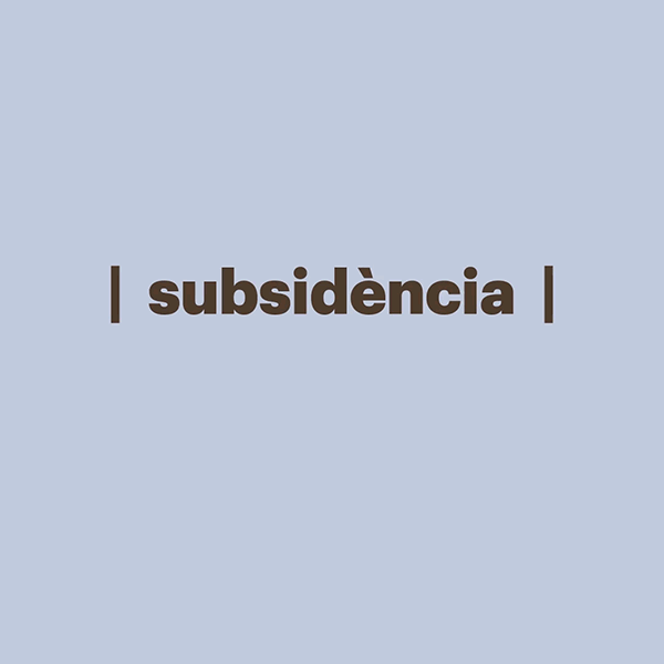 Subsidiència